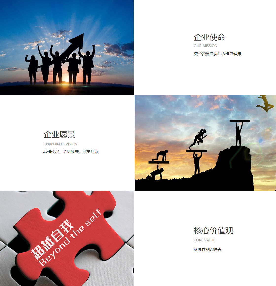 2138太阳(图1)